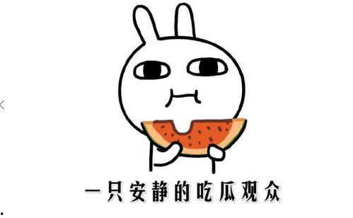 黑料吃瓜什么意思,网络时代下的八卦文化现象